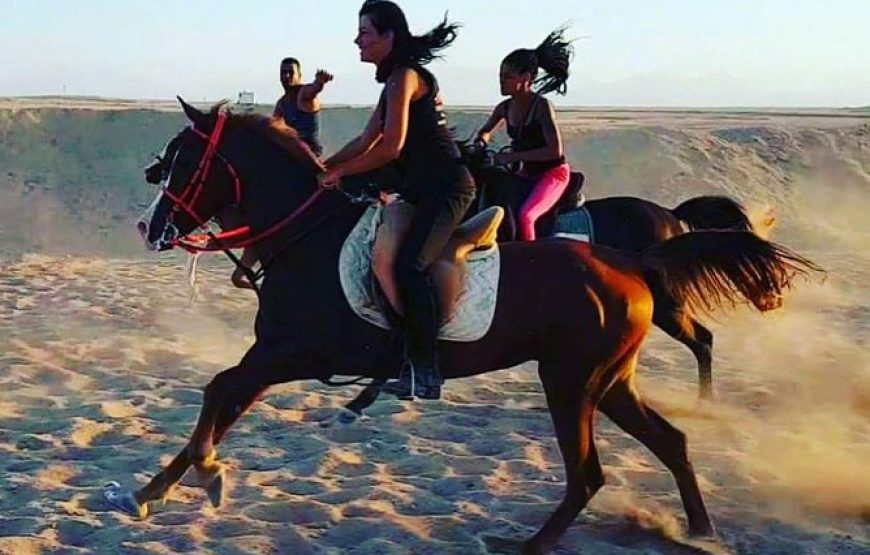 Horse riding desert
