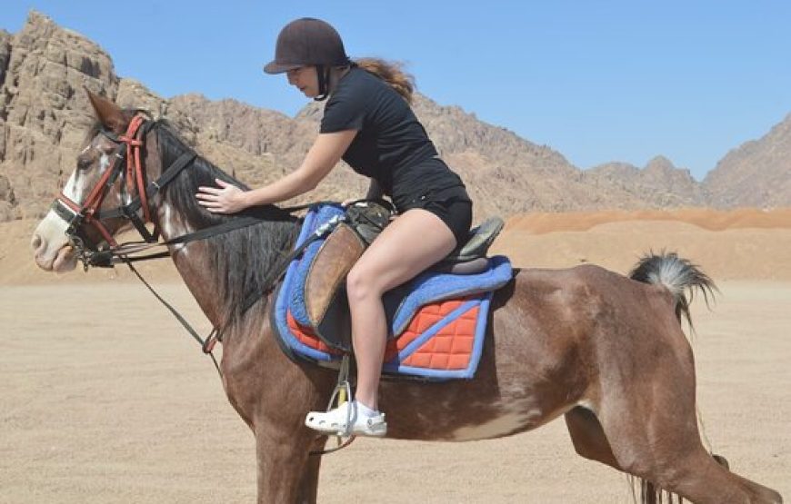 Horse riding desert