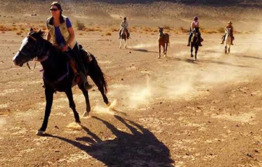 Horse riding desert