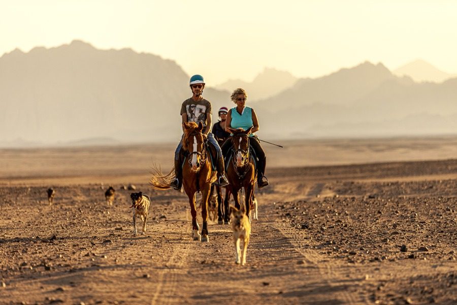 Horse riding desert