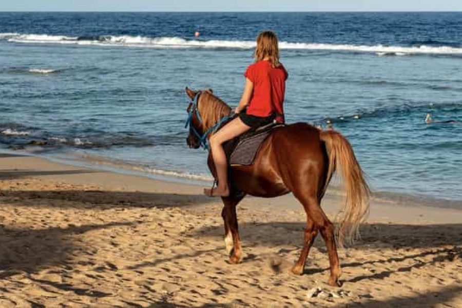 Horse riding sea&desert