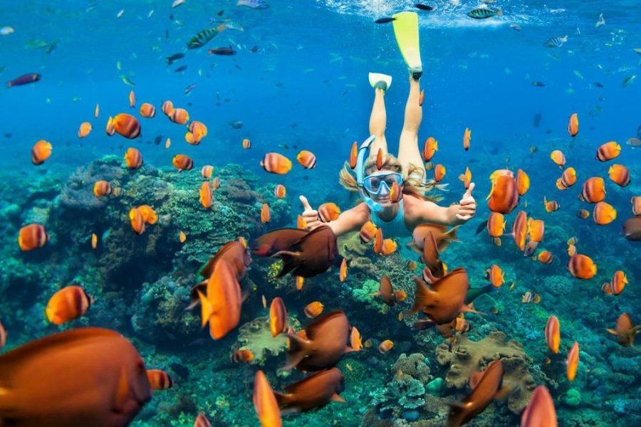 Ras Mohamed and White Island