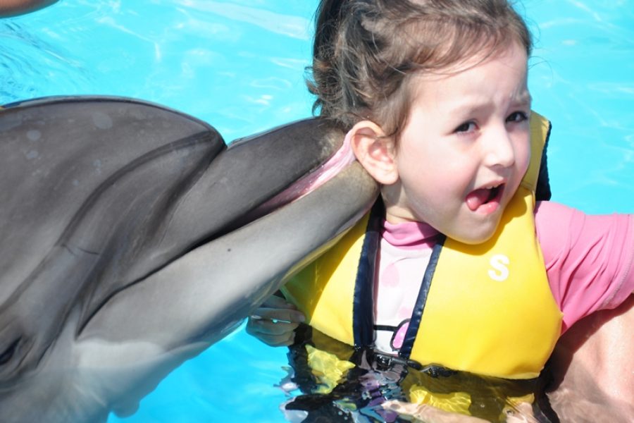 Dolphin Swim 30 min in Sharm