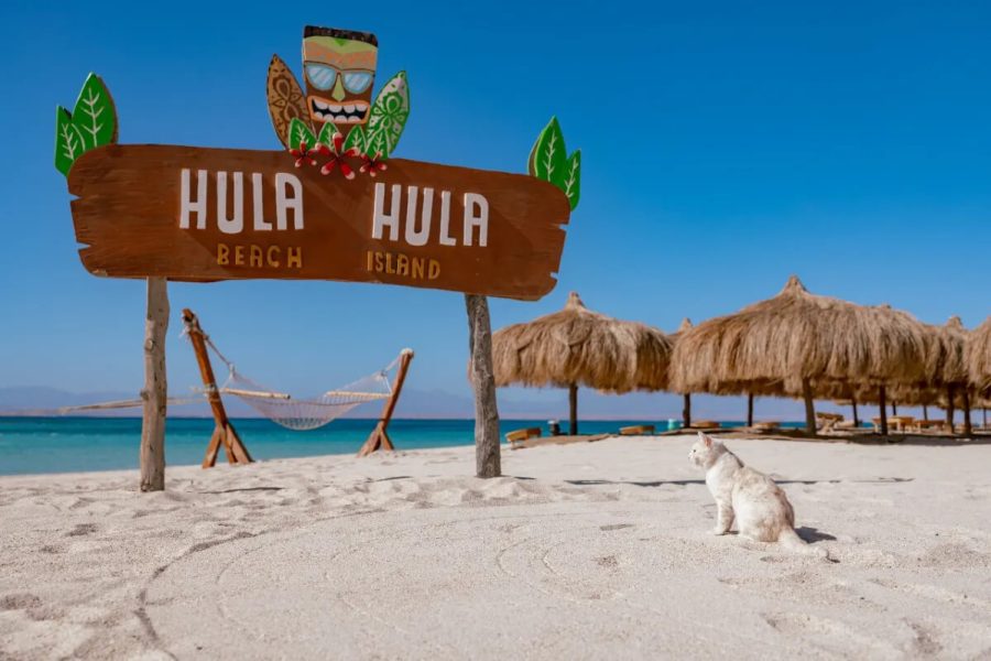 Hula Hula beach island + Diving